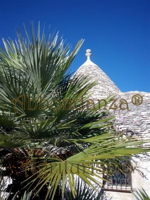 Agriturismo Abbondanza® Villa Alberobello Esterno foto