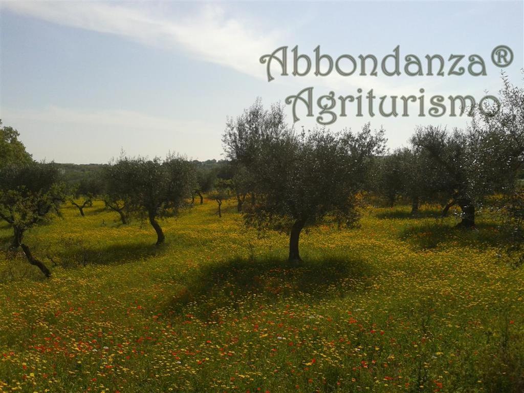 Agriturismo Abbondanza® Villa Alberobello Esterno foto