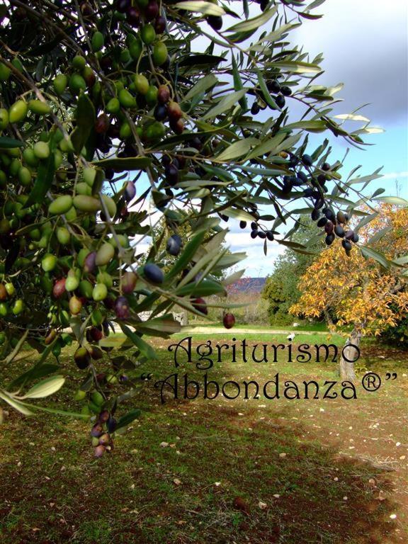 Agriturismo Abbondanza® Villa Alberobello Esterno foto