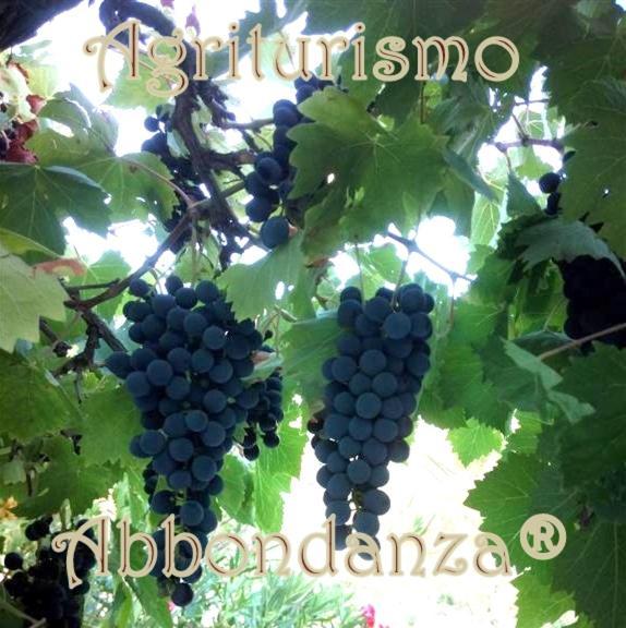 Agriturismo Abbondanza® Villa Alberobello Esterno foto